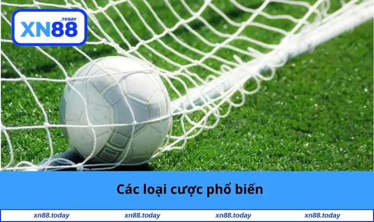 Các loại cược phổ biến