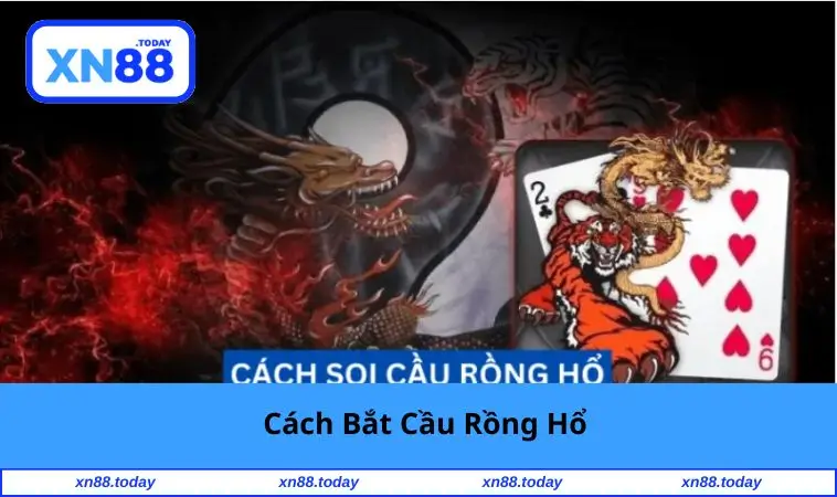 cach-bat-cau-rong-ho
