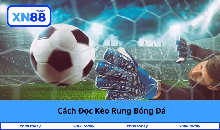 cach-doc-keo-rung-bong-da