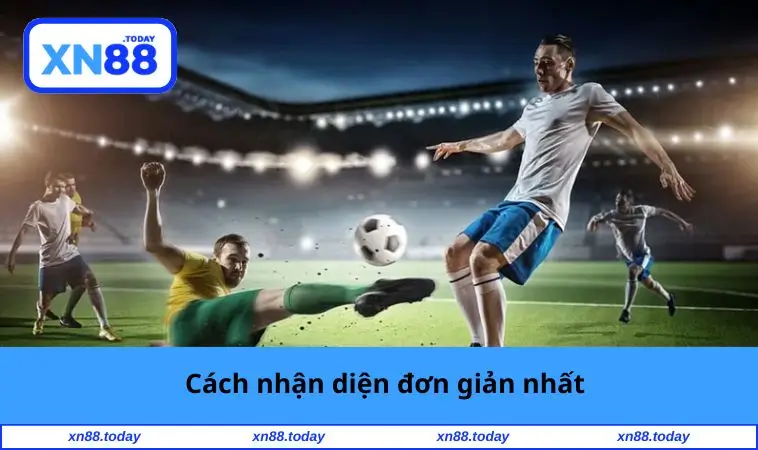 Cách nhận diện đơn giản nhất