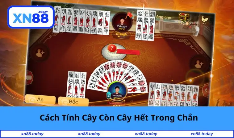 cach-tinh-cay-con-cay-het-trong-chan