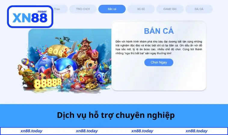 Giới Thiệu XN88 2 Dịch vụ hỗ trợ chuyên nghiệp