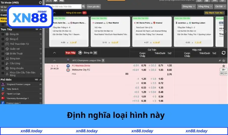 Định nghĩa loại hình này