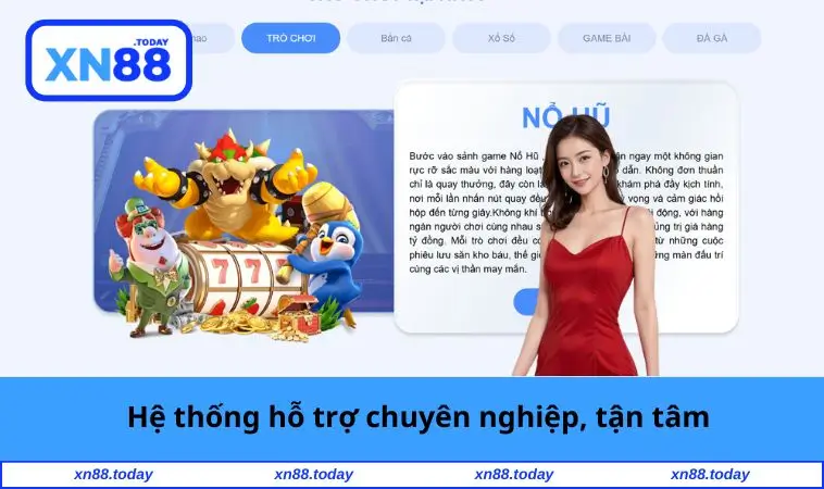 Hệ thống hỗ trợ chuyên nghiệp
