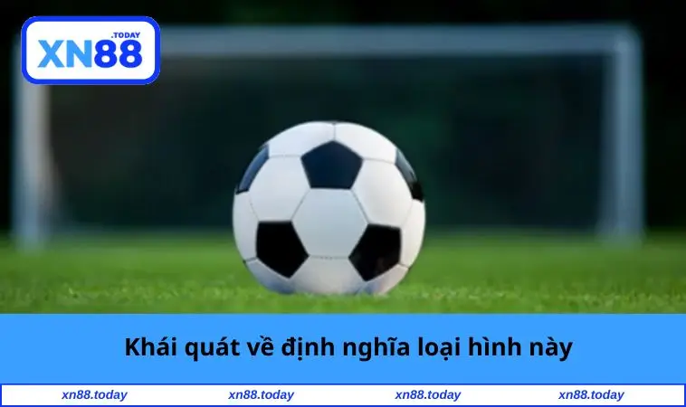 Khái quát về định nghĩa loại hình này