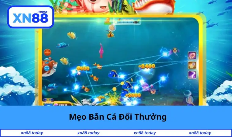 meo-ban-ca-doi-thuong