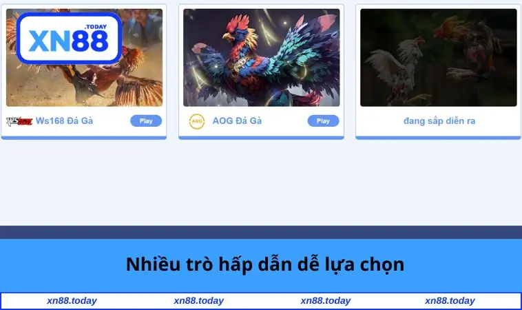 Nhiều trò hấp dẫn dễ lựa chọn
