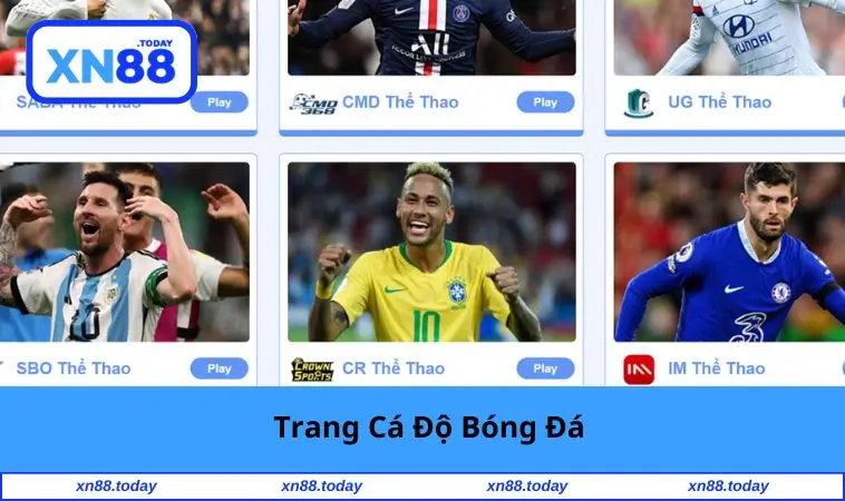 trang-ca-do-bong-da